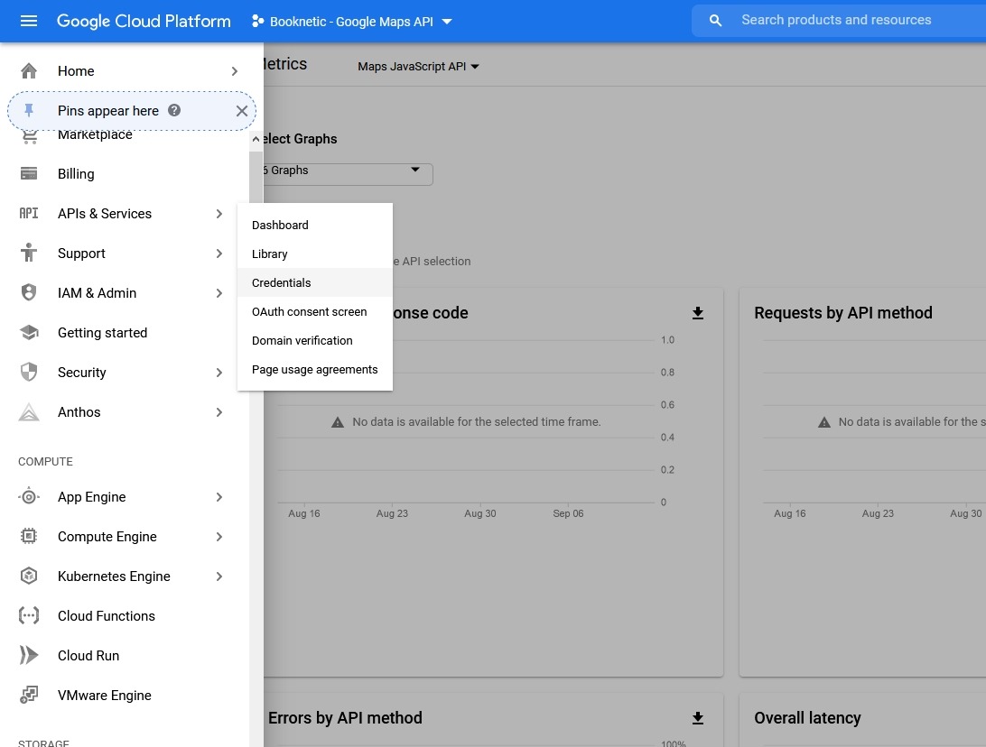 How to get Google Map API 