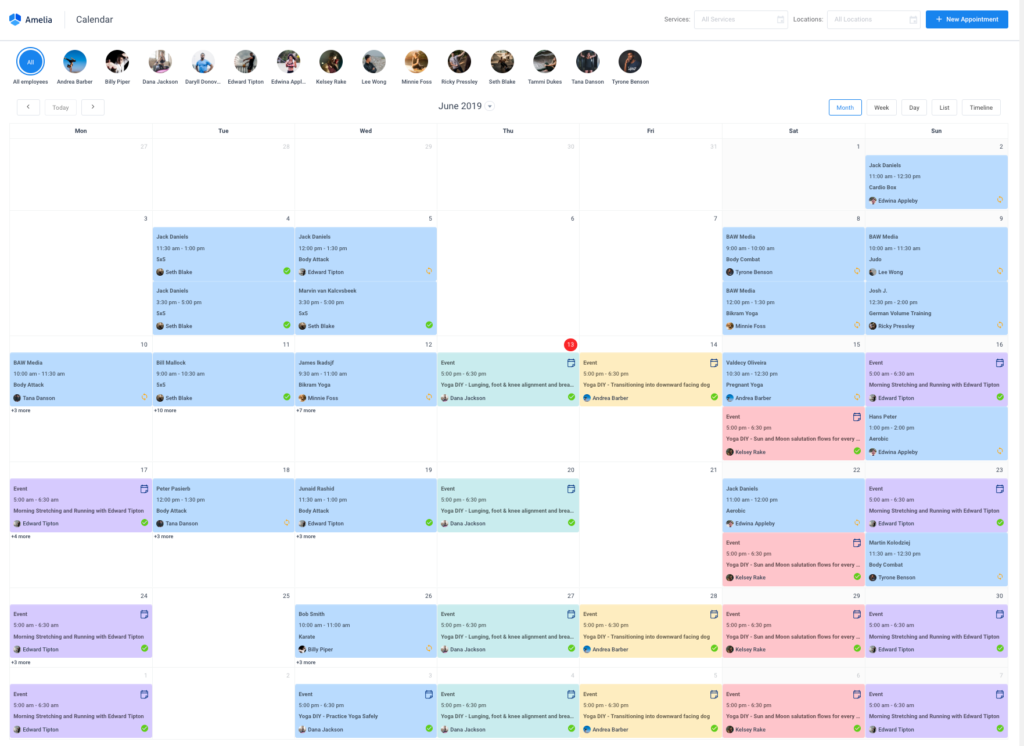 booknetic vs amelia calendar view