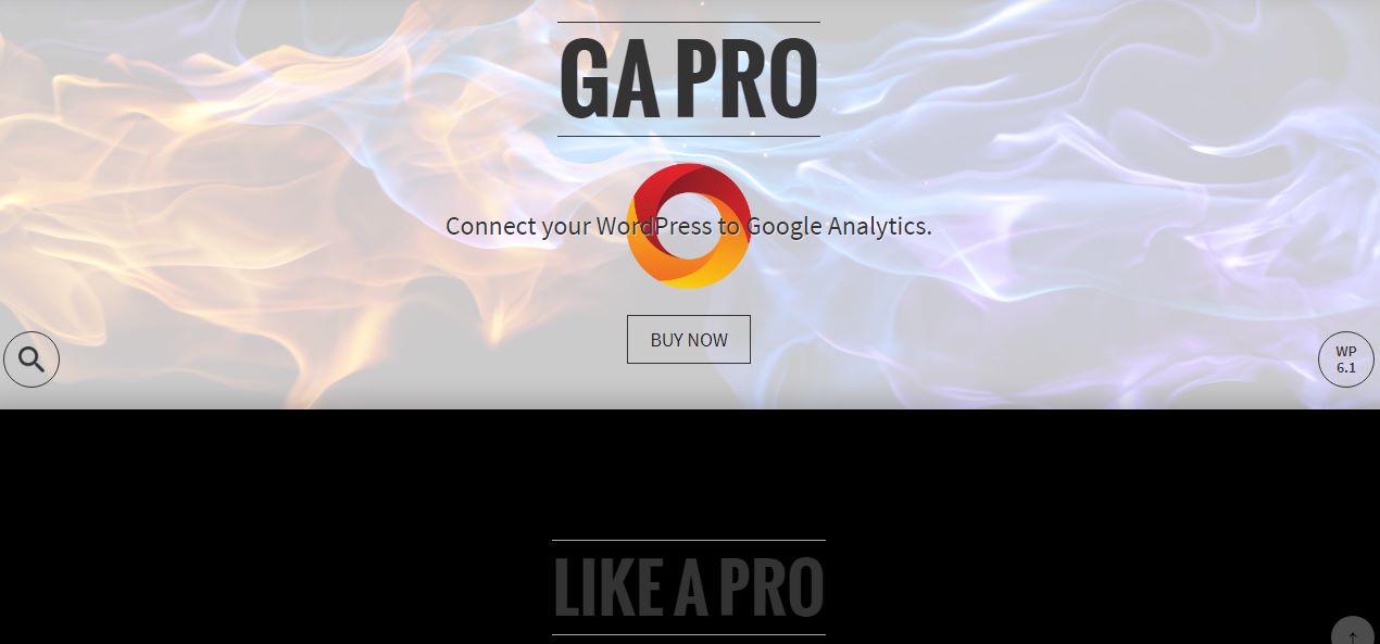 wordpress google analytics plugins, worpdress plugins with google analytics, google analytics wordpress plugins, google analytics plugin for wordpress