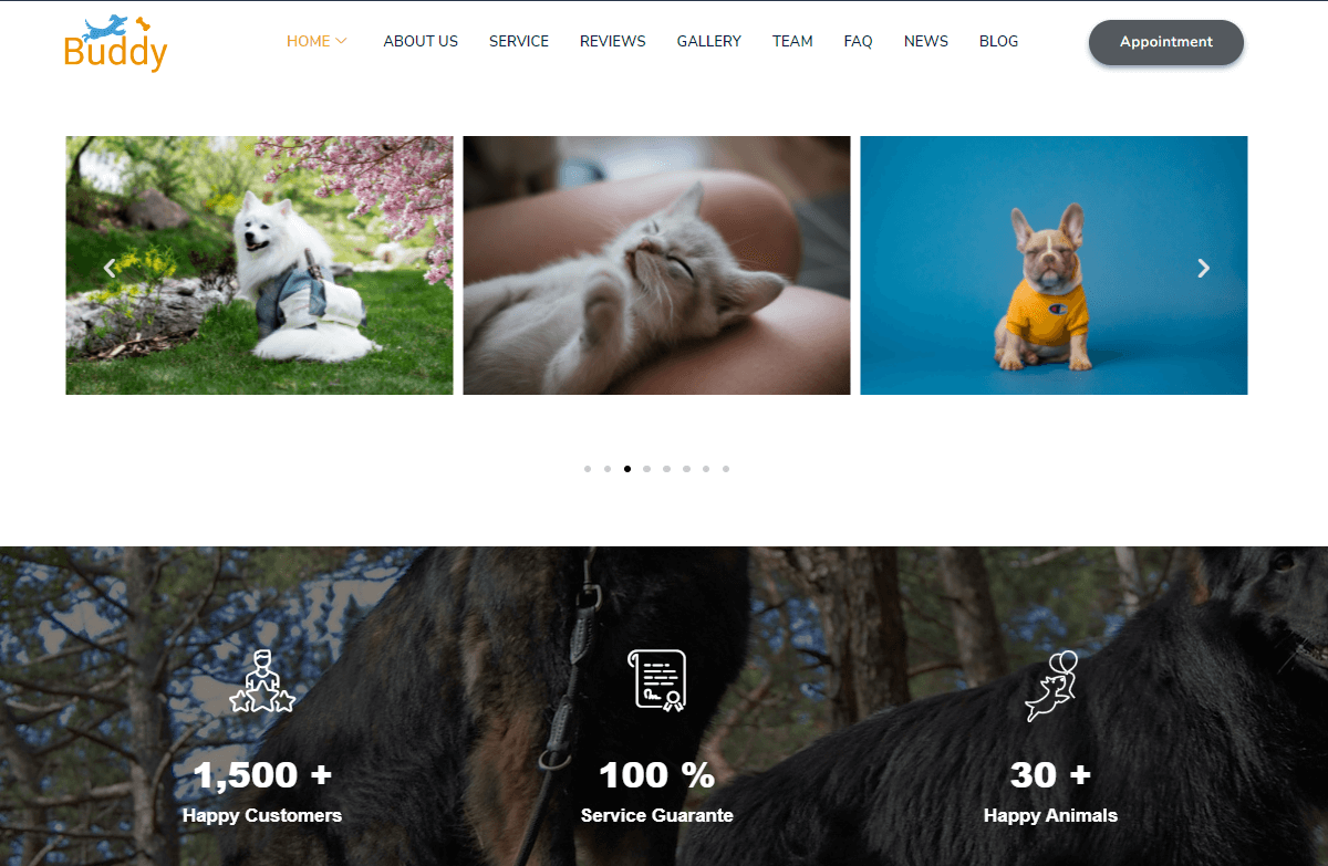 buddy veterinary wordpress themes