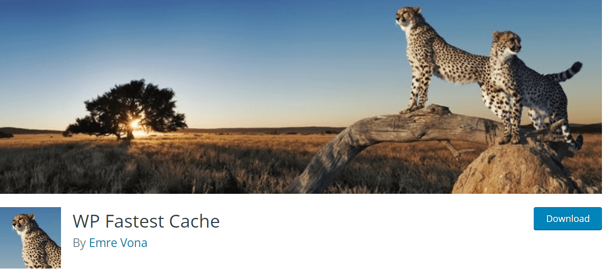 fastest cache best plugins for woocommerce