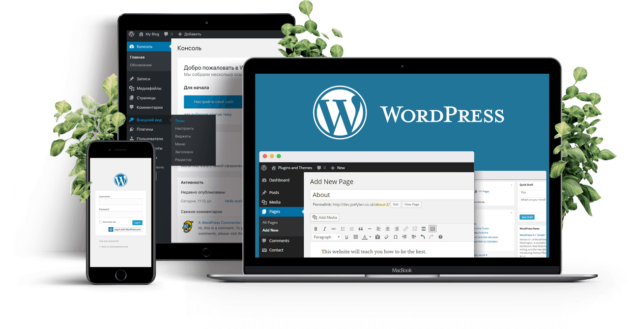 b2b website wordpress
