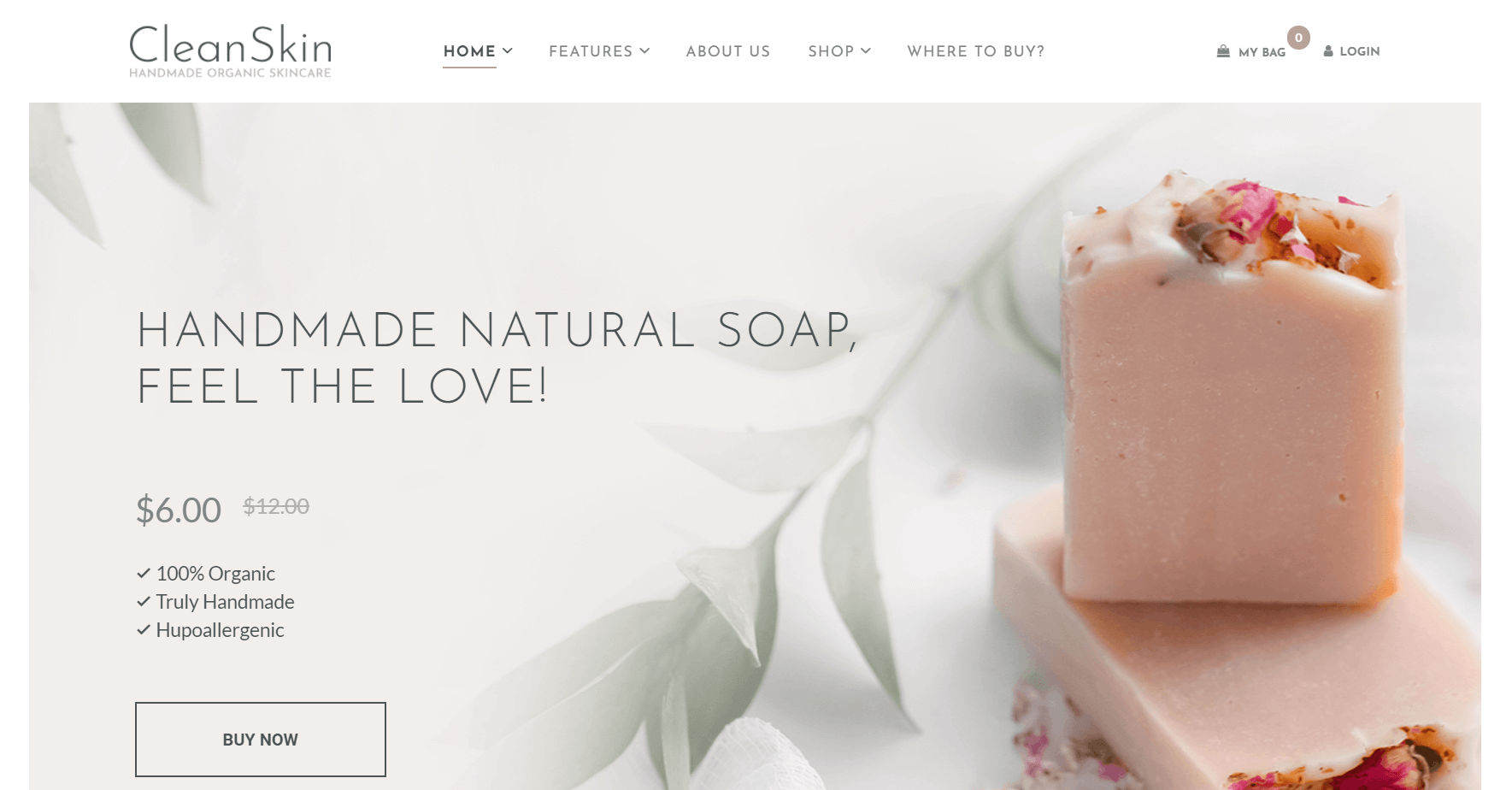 clean skin best skin care wordpress themes