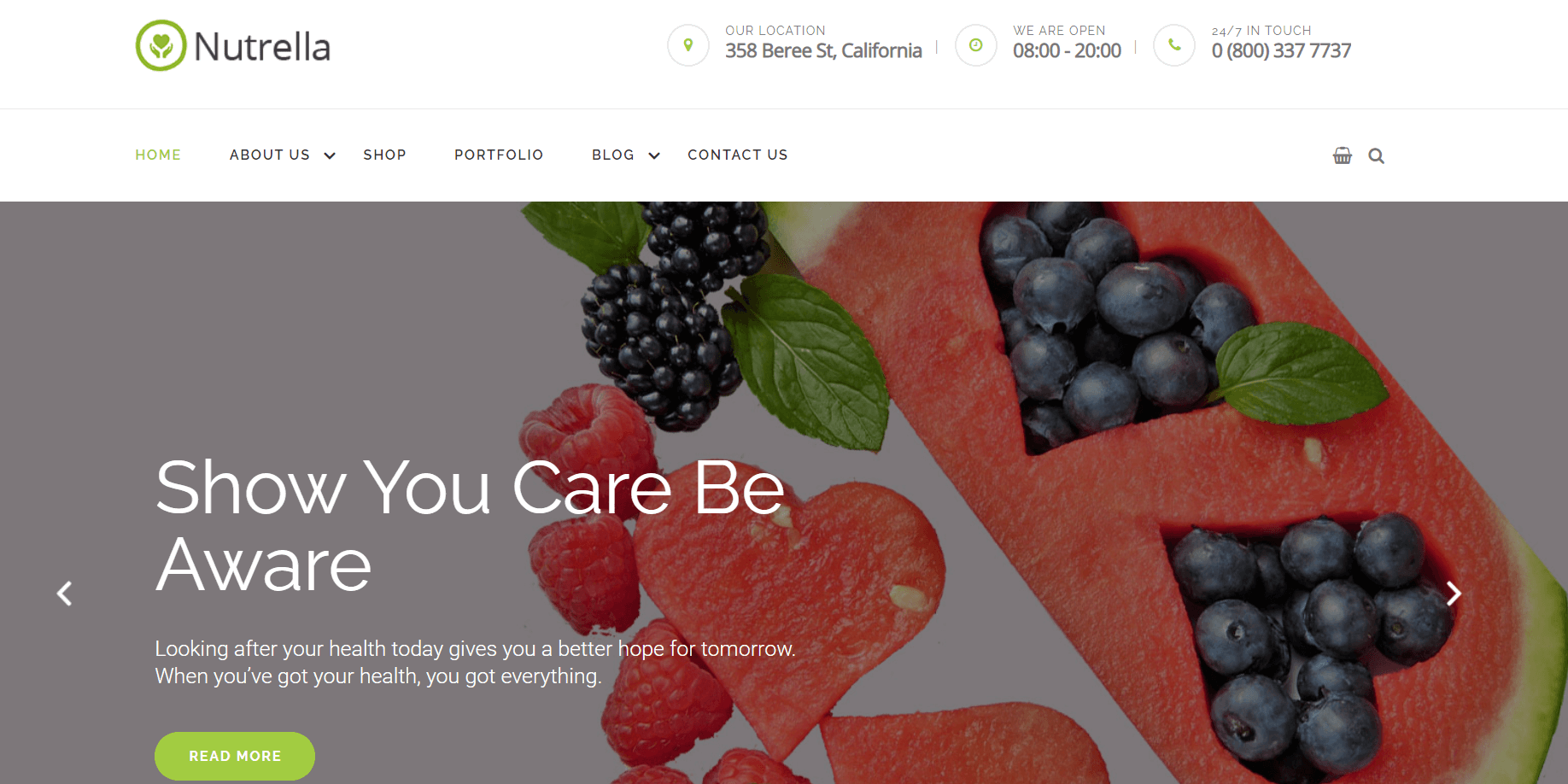 nutrella best nutrition wordpress themes