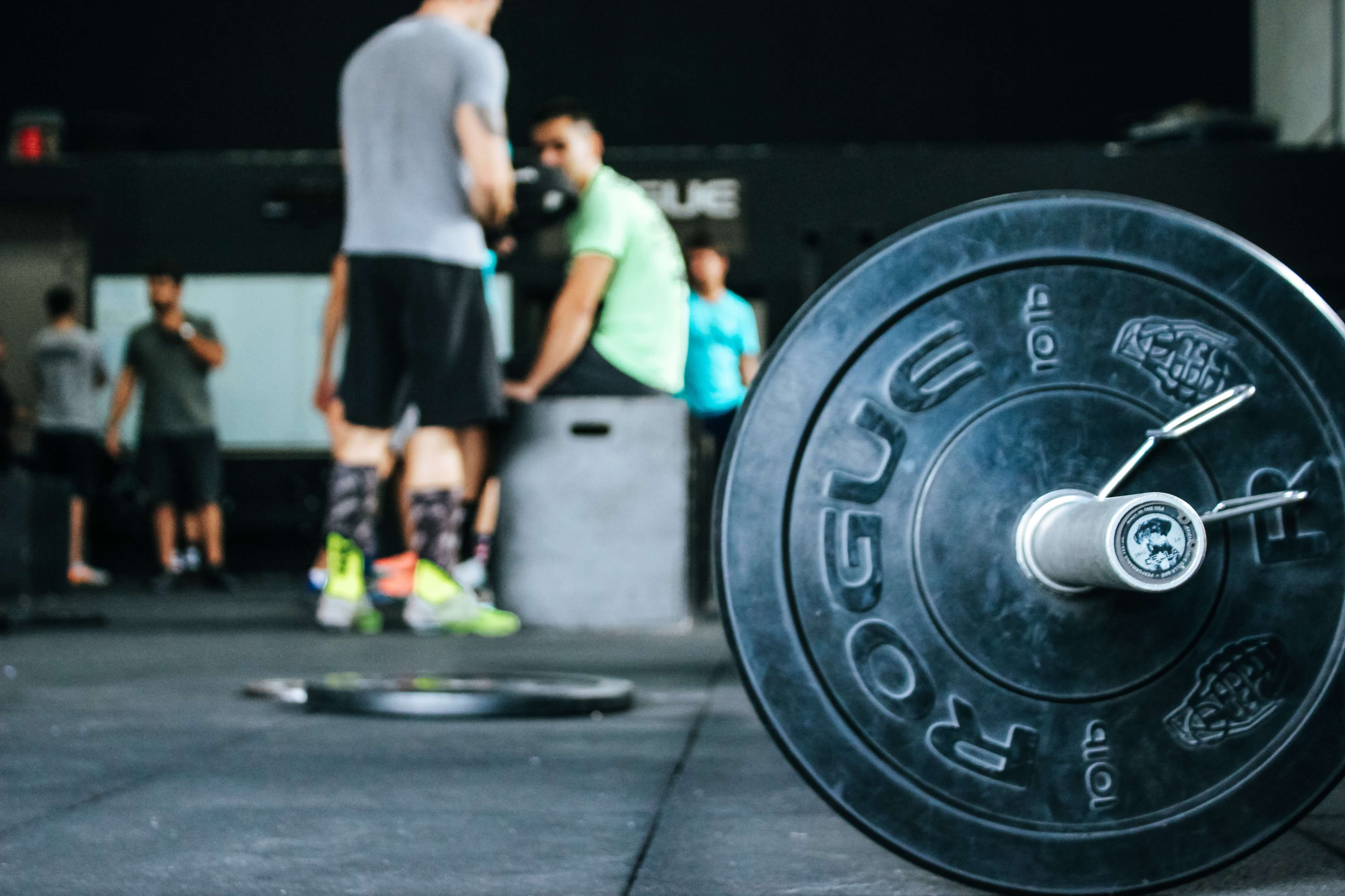 gym industry
