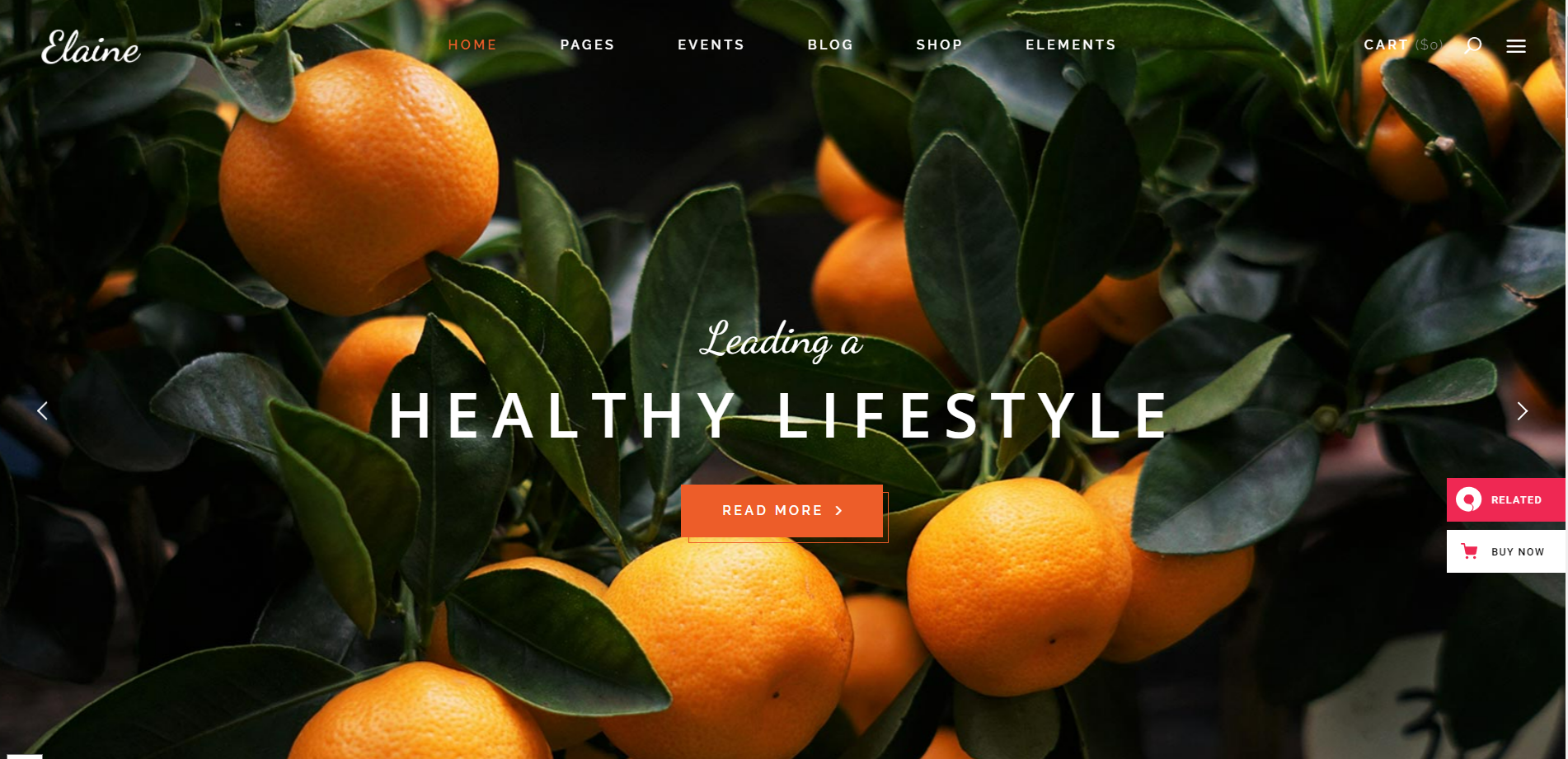 wordpress nutrition themes elaine
