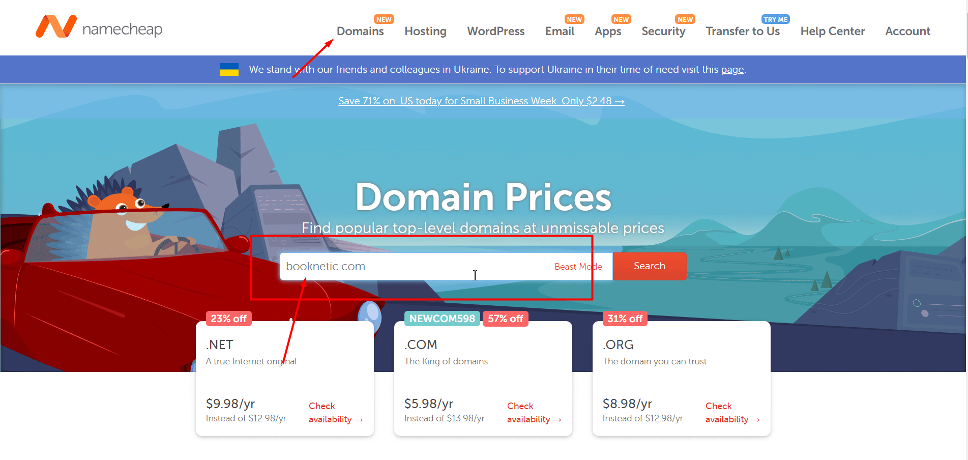 Domain einrichten