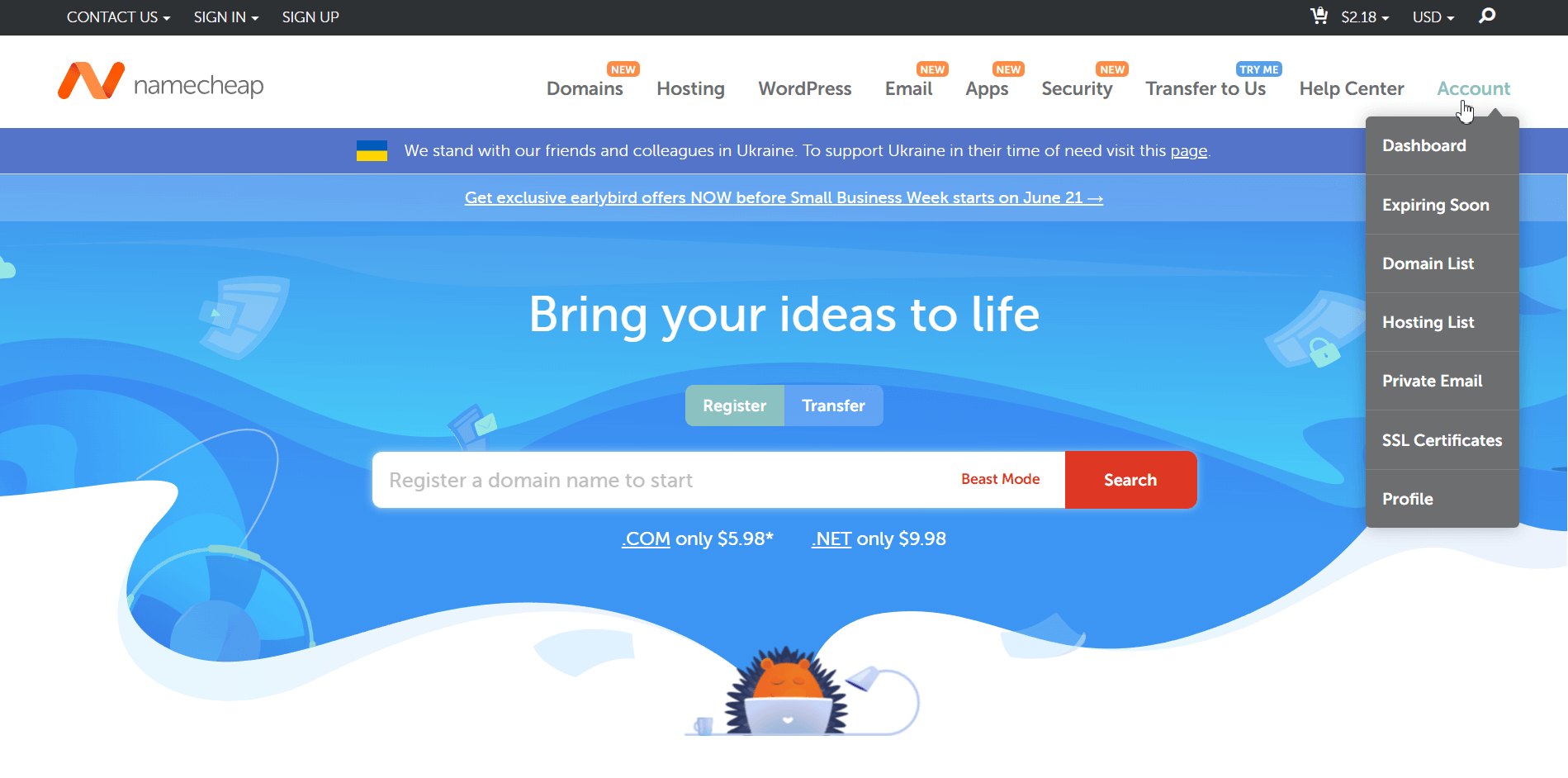 Dashboard in Namecheap