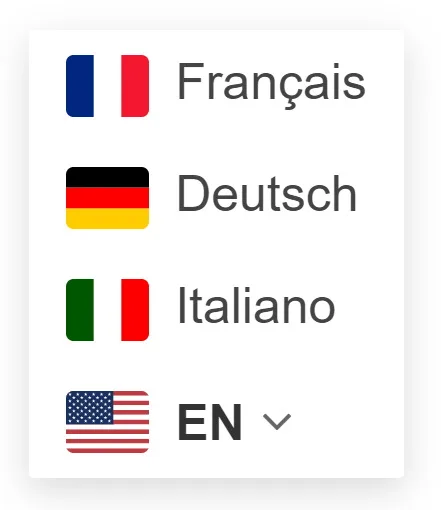GTranslate language switcher dropdown displayed on a WordPress site