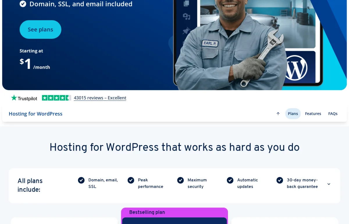Planes de precios de IONOS WordPress